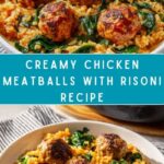 Chicken Meatballs with Risoni in Creamy Tomato Sauce Recipe