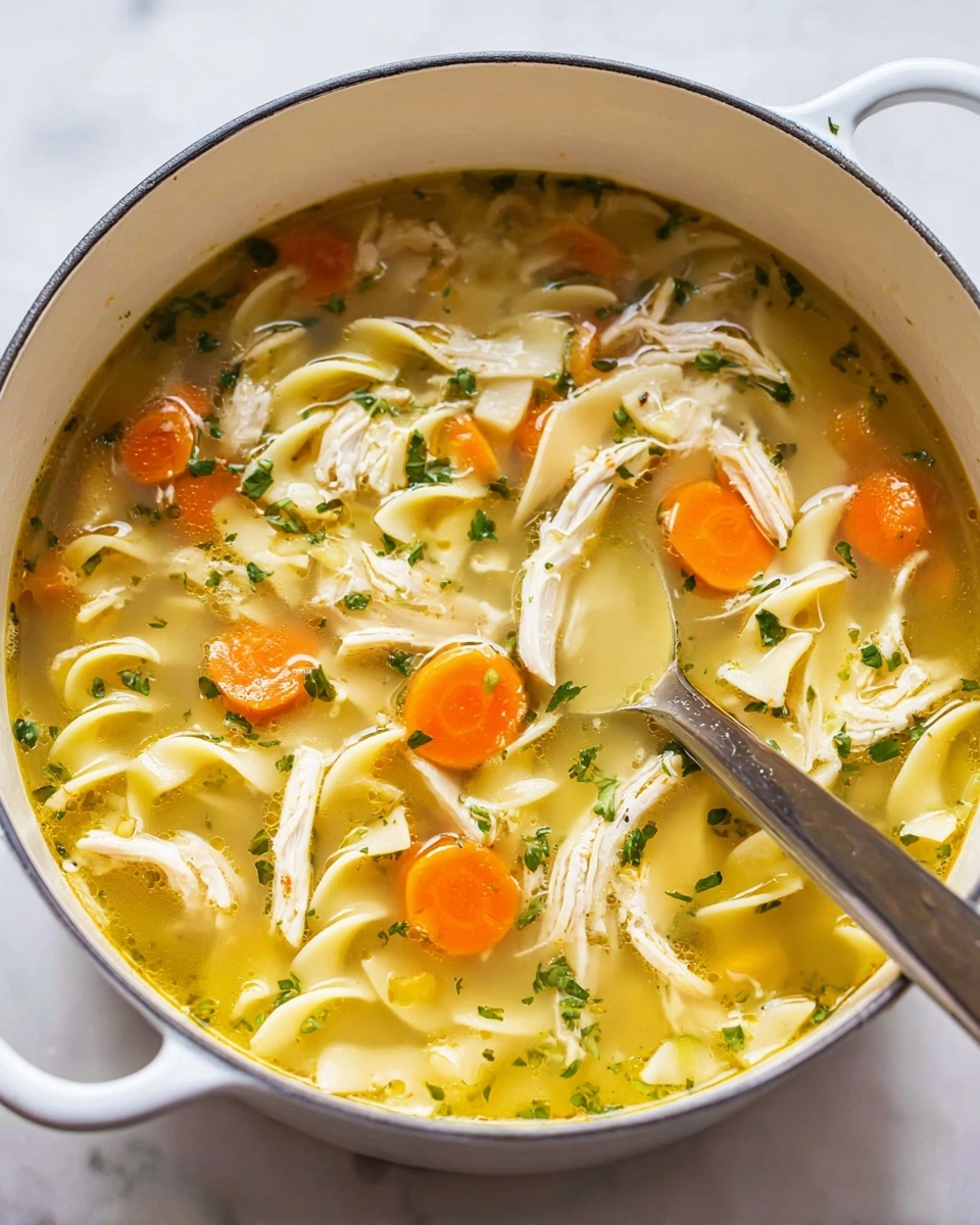 Classic Homemade Turkey Noodle Soup Recipe - Recipe Image