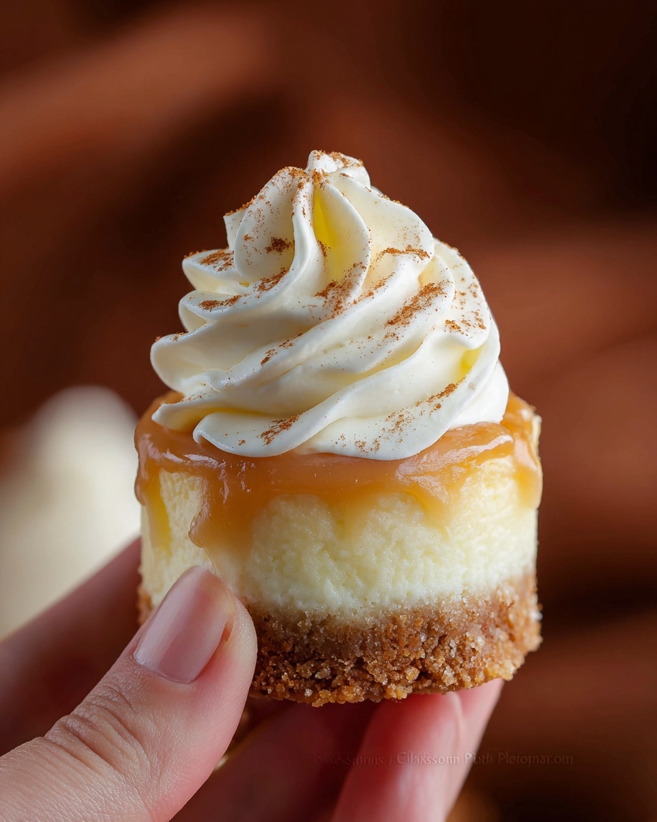 Mini Cheesecakes with Caramel Sauce Recipe - Recipe Image