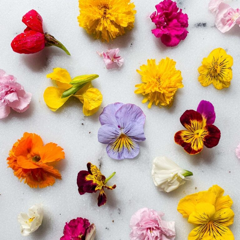 How to Keep Edible Flowers Fresh Recipe